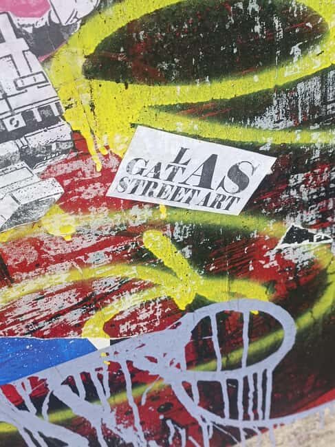 Lyon: Street Art in the Croix Rousse district - Adaptable routes for disabilities: contact ahead and you’ll plan together