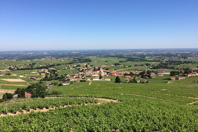 Southern Burgundy Wine Tour - Full Day Shared tour from Lyon - Cluny: lunch on your terms plus a walk through abbey streets