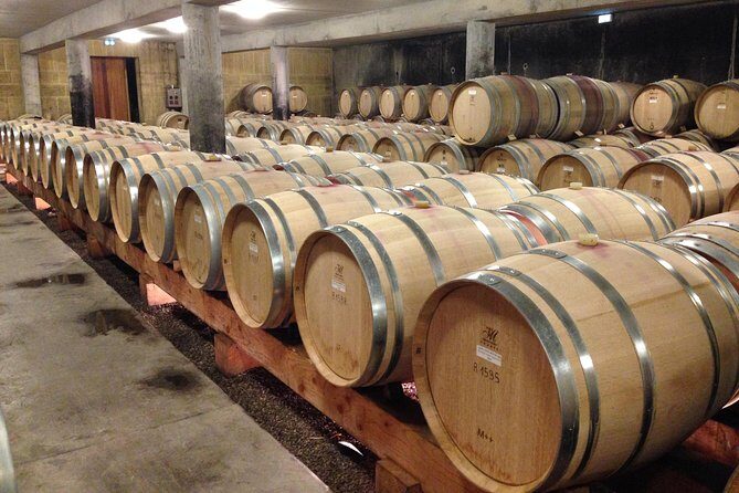 The Original Syrah Wine Tour (9:00 am - 1:30 pm) - Small Group Tours from Lyon - Getting started in Lyon: Bellecour Square to a southbound wine day
