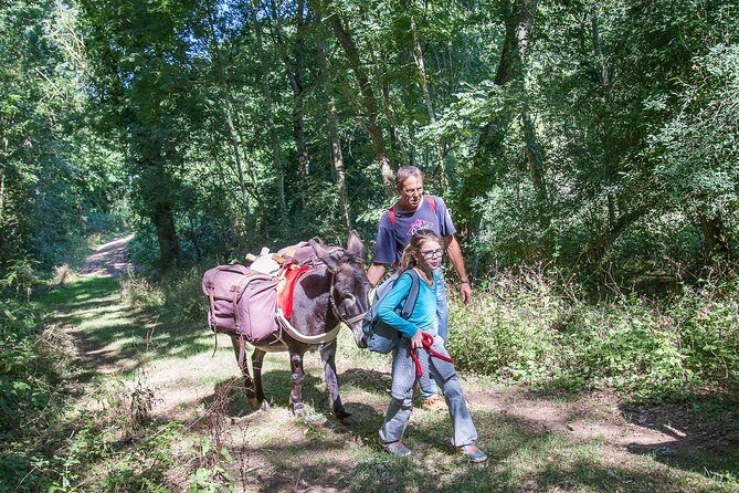 Walks and hikes with donkeys - Price per group: how $90.55 makes sense (or doesn’t)