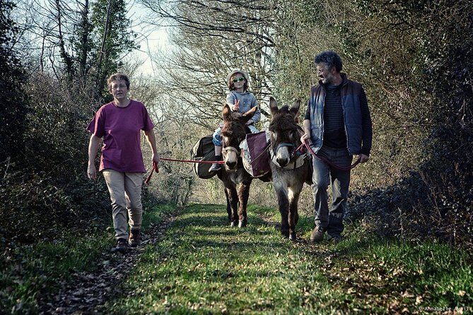 Walks and hikes with donkeys - What the 3-hour donkey hike feels like (and how you can adjust it)